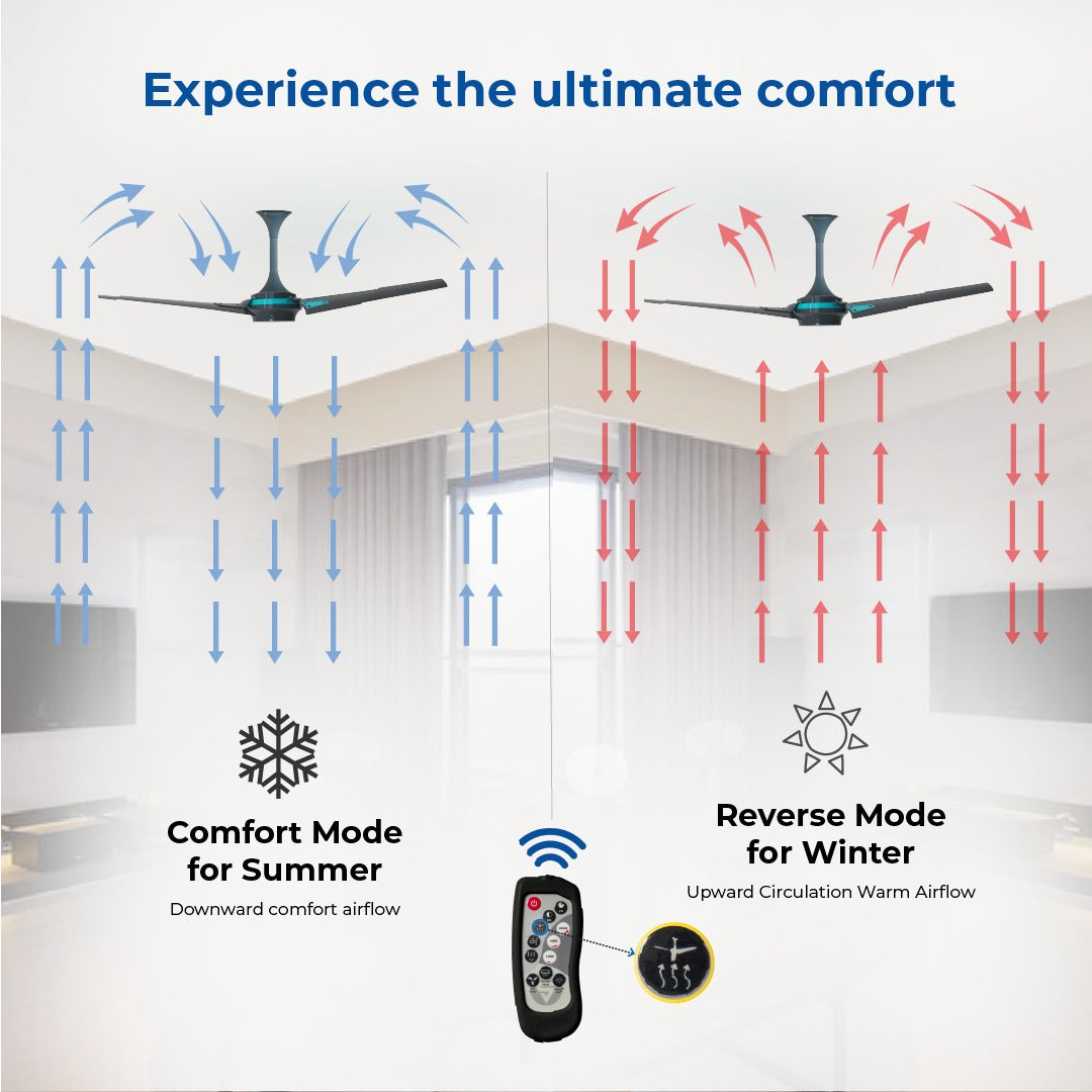 Super Q Combo BLDC Ceiling Fan - Superfan