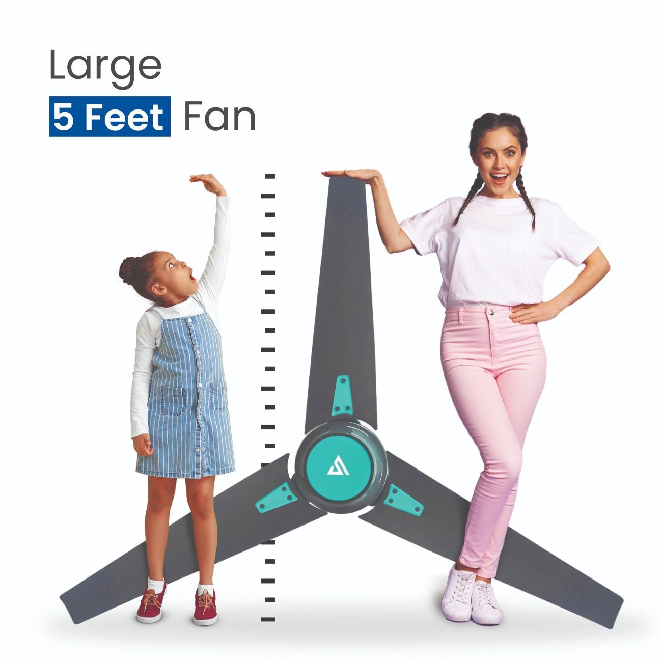 Large 5 feet ceiling fan size comparison infographic showing bigger blade span for wider airflow coverage