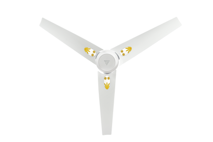 Superfan Q Pearl White – Onam Pearl Edition