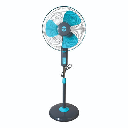 Super Visiree (Pedestal)