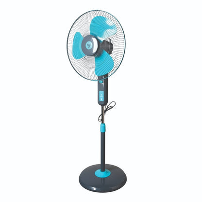 Super Visiree (Pedestal)