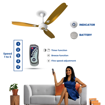 Super A1 & P400 Combo BLDC Fan