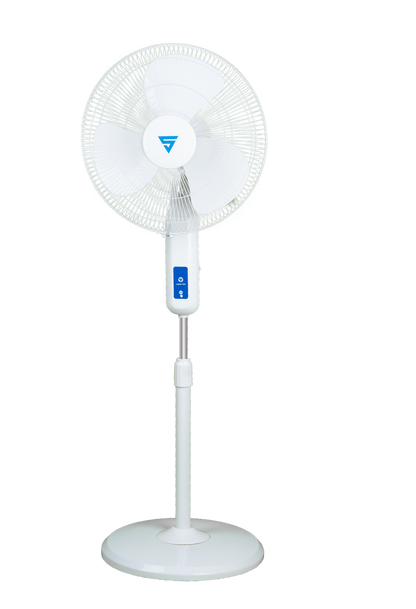 Super Visiree (Pedestal)