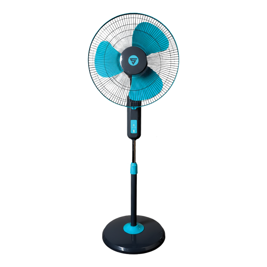 Super Visiree (Pedestal)